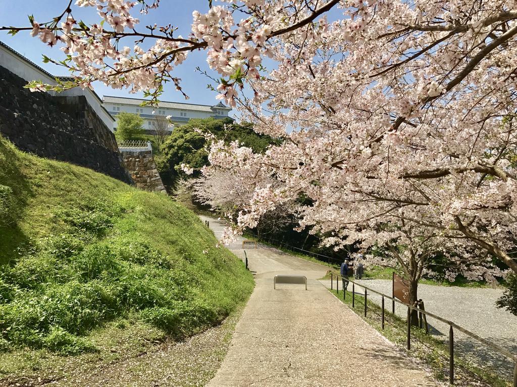 Minshuku Tairyoumaru Amakusa (Amakusa Islands) Exterior foto